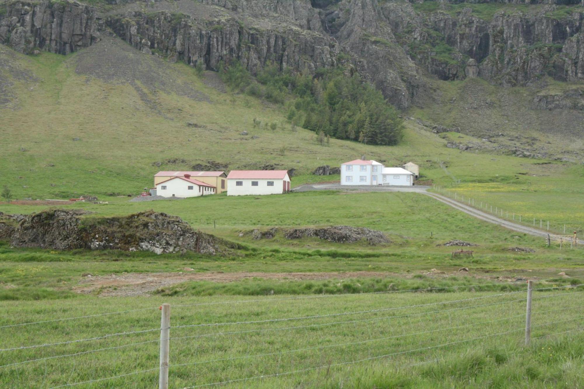 Guesthouse Stekkatun Skalafell Exterior photo