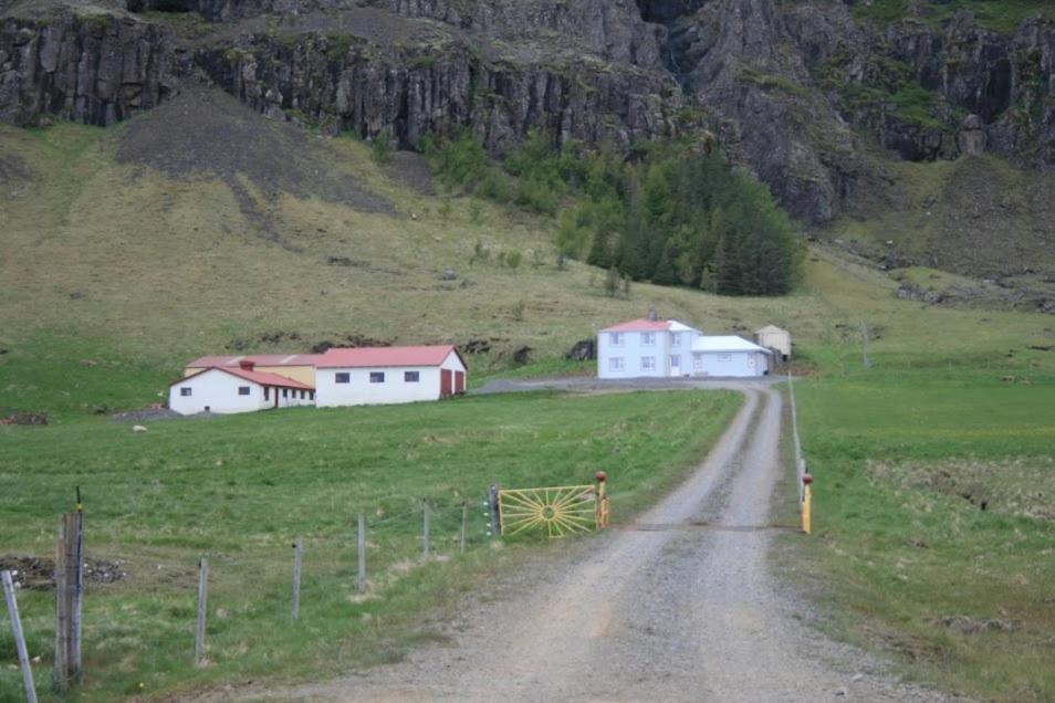Guesthouse Stekkatun Skalafell Exterior photo